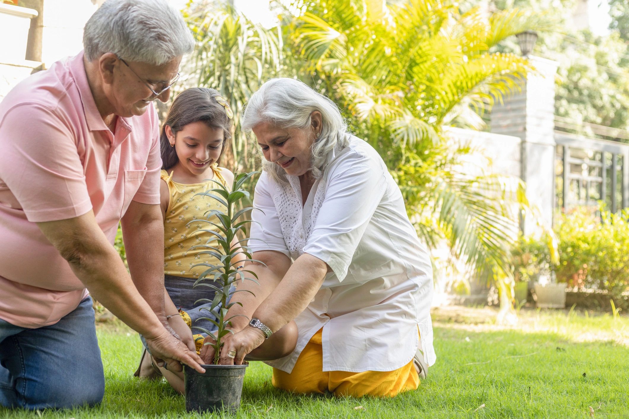 People caring for plants and garden areas