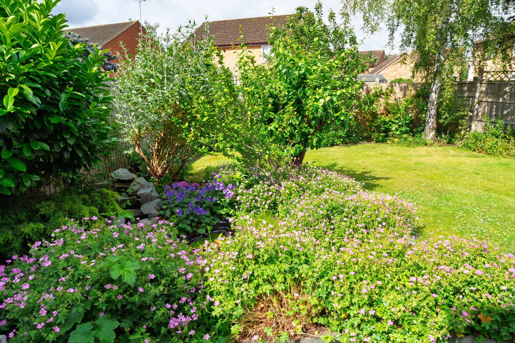 Lush garden planting with flowers and greenery around a pond